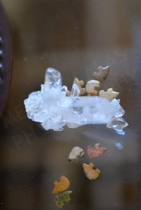 Fetish by Melissa Salas